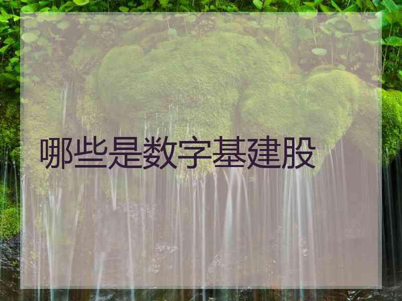 哪些是数字基建股