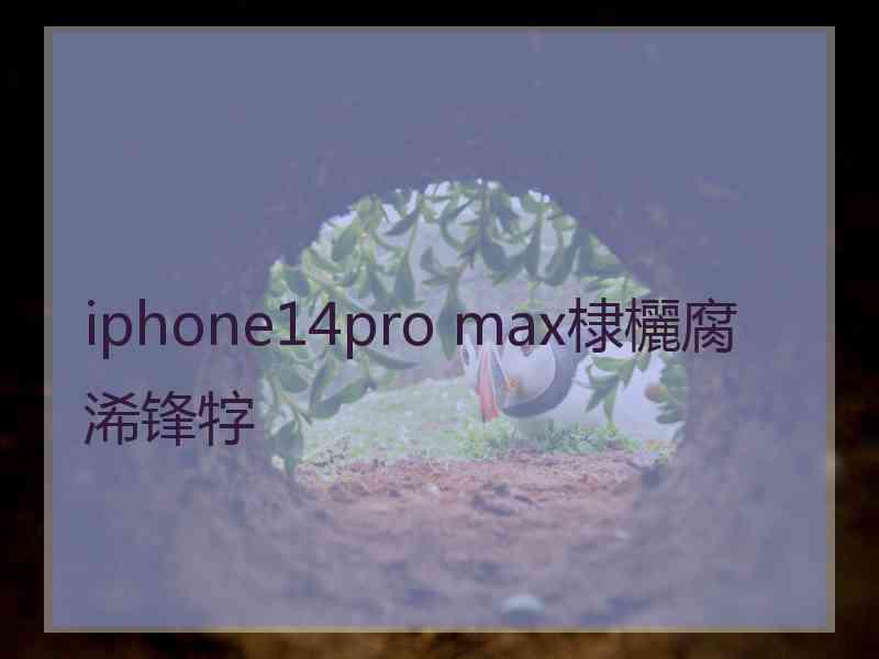 iphone14pro max棣欐腐浠锋牸