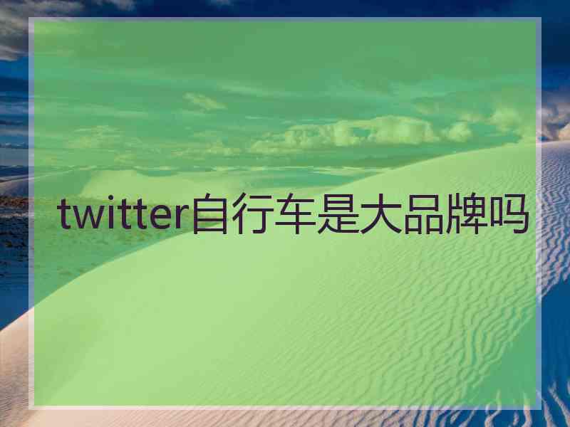 twitter自行车是大品牌吗