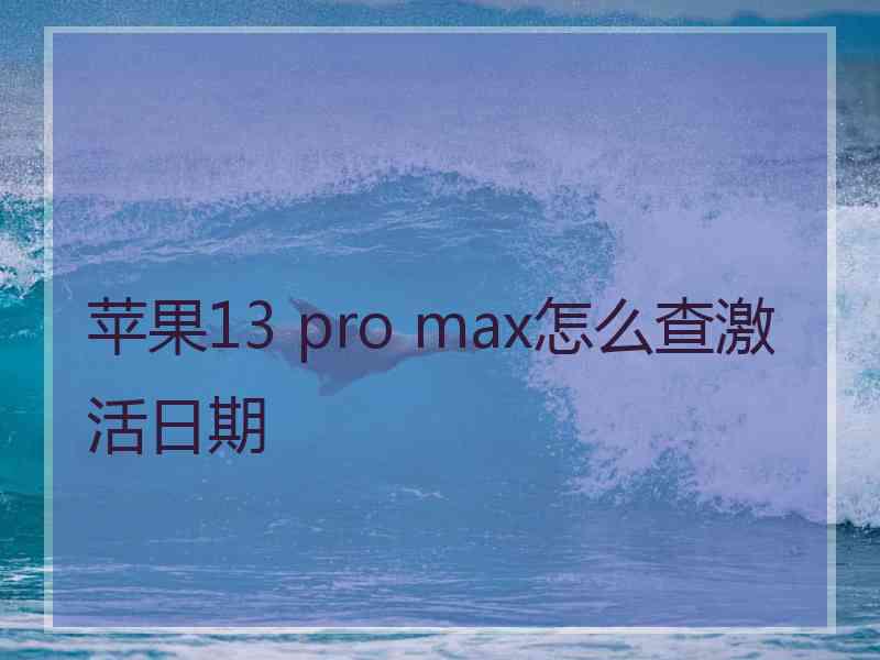 苹果13 pro max怎么查激活日期