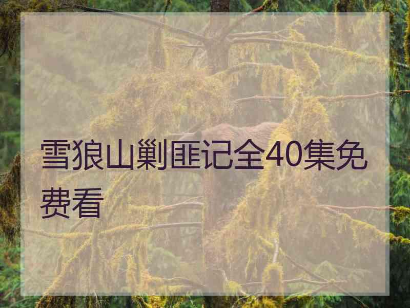 雪狼山剿匪记全40集免费看