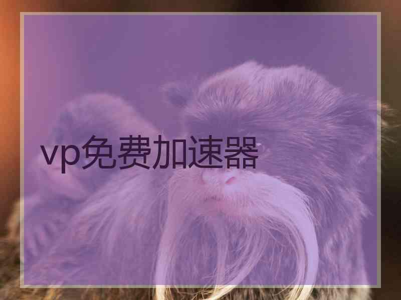 vp免费加速器