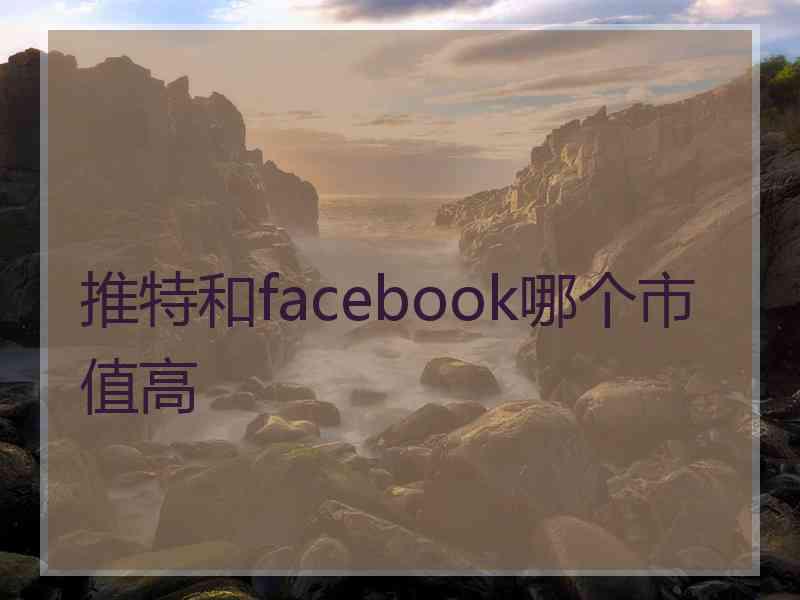 推特和facebook哪个市值高