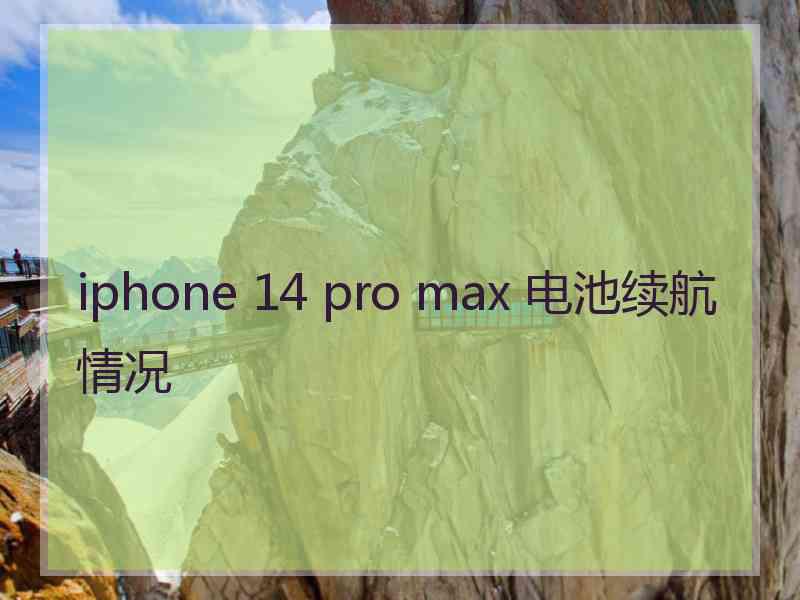 iphone 14 pro max 电池续航情况