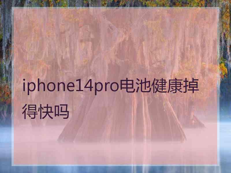 iphone14pro电池健康掉得快吗