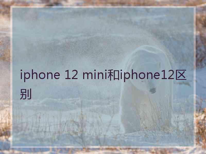 iphone 12 mini和iphone12区别