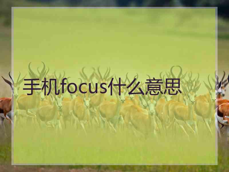 手机focus什么意思