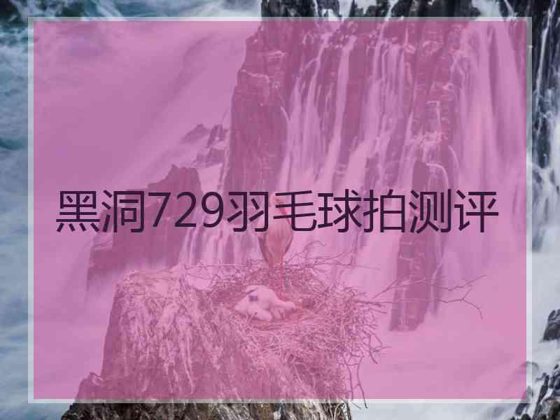 黑洞729羽毛球拍测评