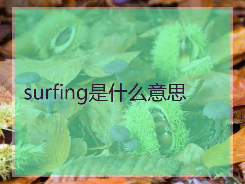 surfing是什么意思