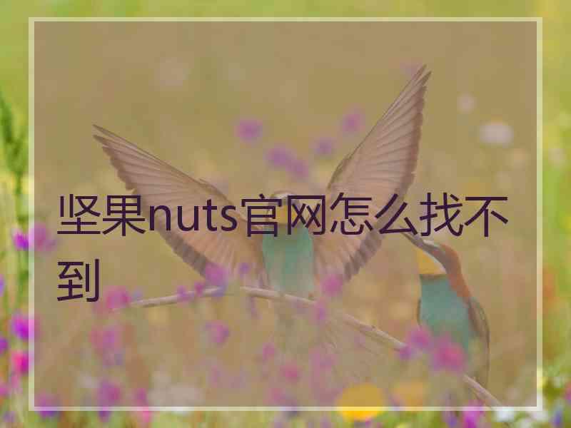 坚果nuts官网怎么找不到