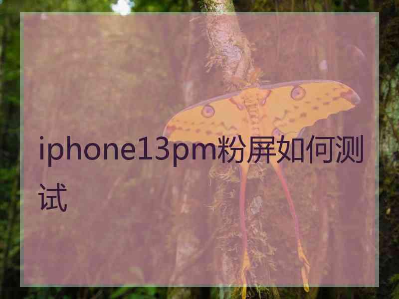 iphone13pm粉屏如何测试