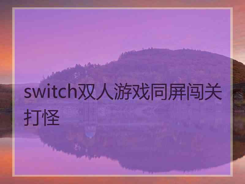 switch双人游戏同屏闯关打怪