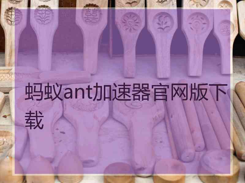 蚂蚁ant加速器官网版下载