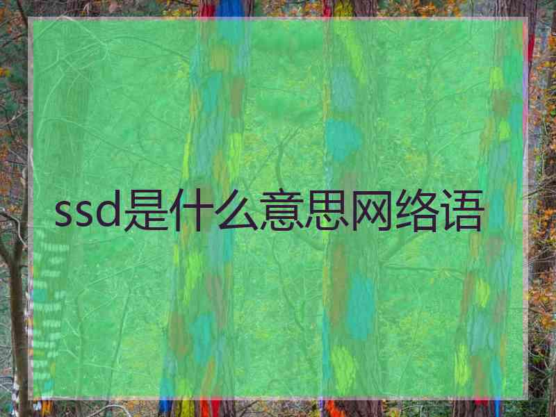 ssd是什么意思网络语