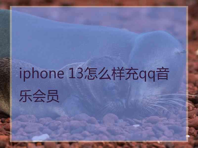 iphone 13怎么样充qq音乐会员