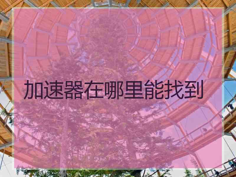 加速器在哪里能找到