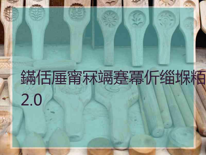 鏋佸厜甯冧竵蹇冪伒缁堢粨2.0