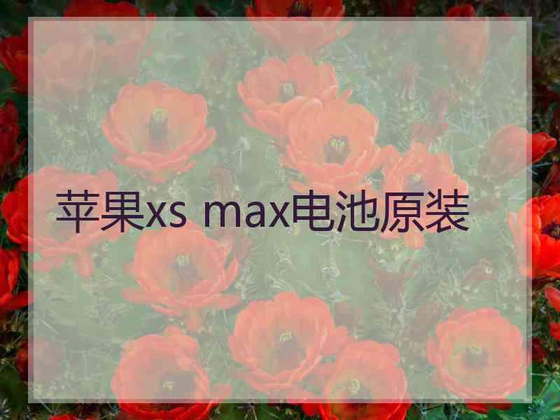 苹果xs max电池原装