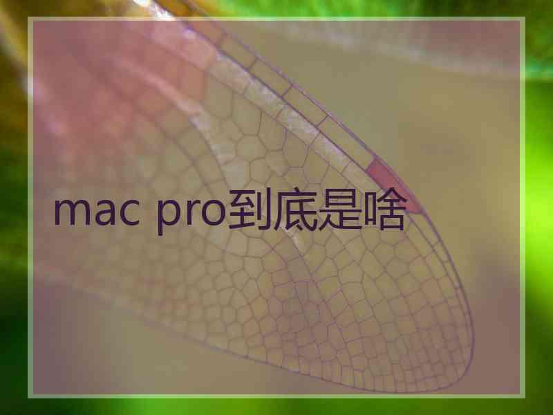 mac pro到底是啥