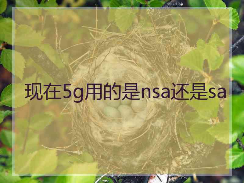 现在5g用的是nsa还是sa