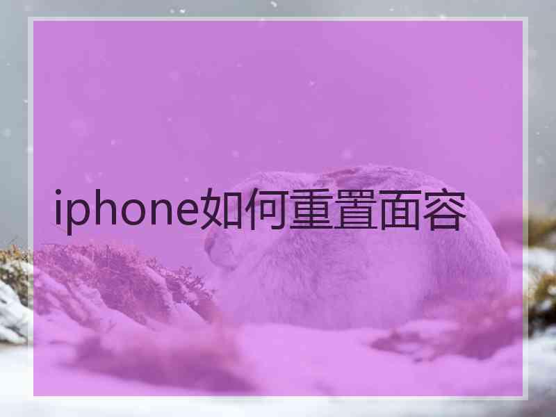 iphone如何重置面容