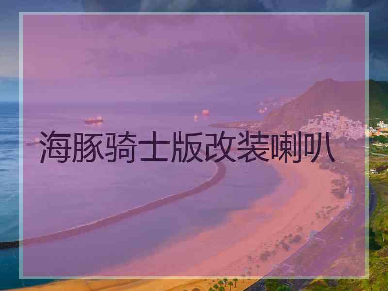 海豚骑士版改装喇叭