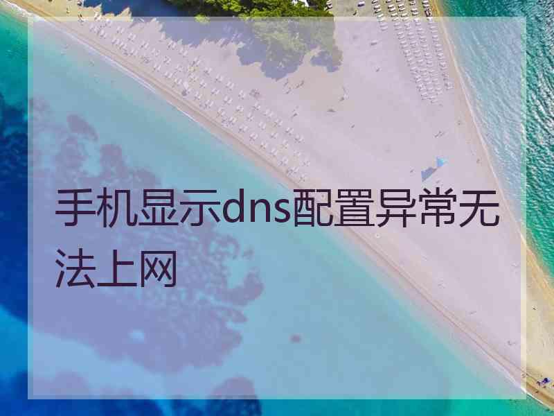 手机显示dns配置异常无法上网