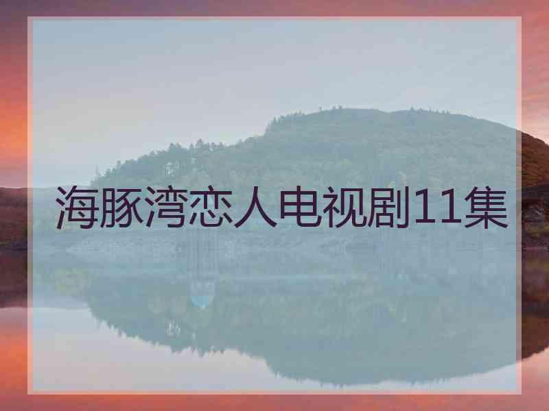 海豚湾恋人电视剧11集