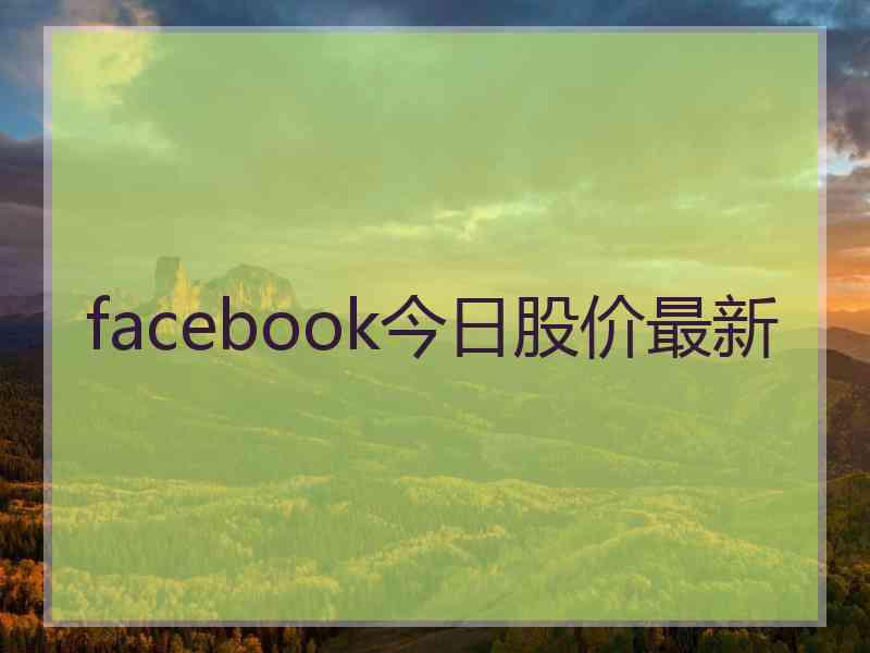 facebook今日股价最新