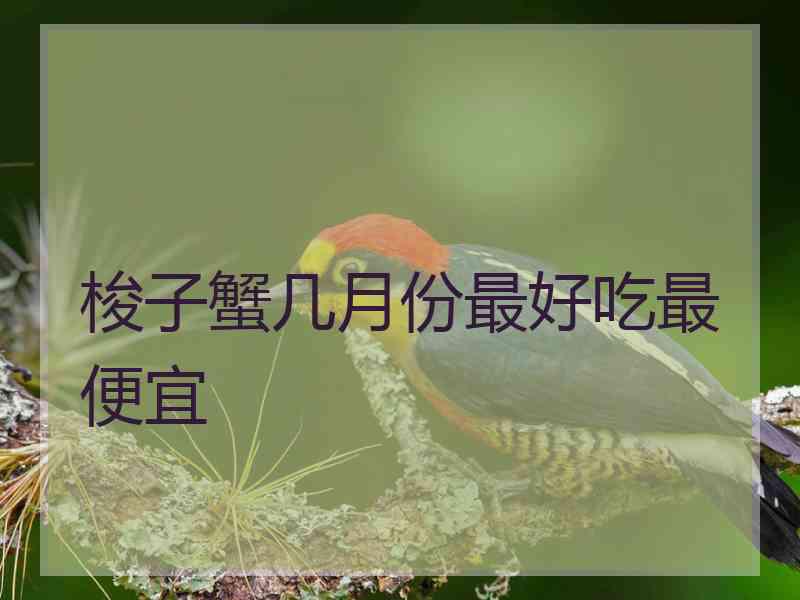 梭子蟹几月份最好吃最便宜