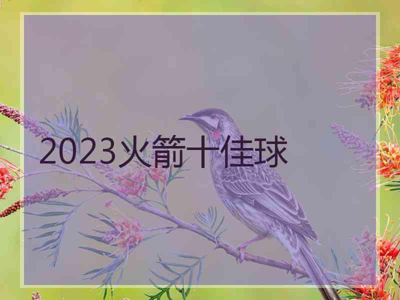 2023火箭十佳球