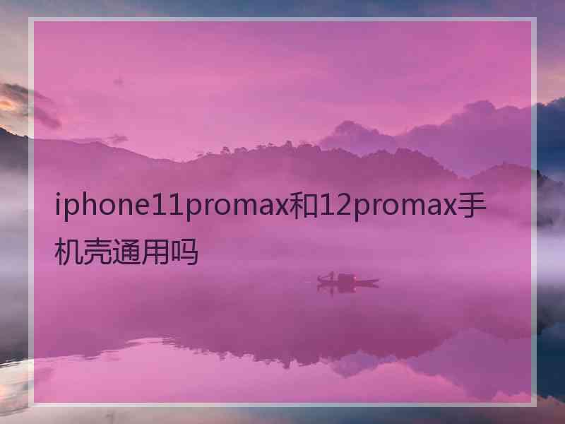 iphone11promax和12promax手机壳通用吗