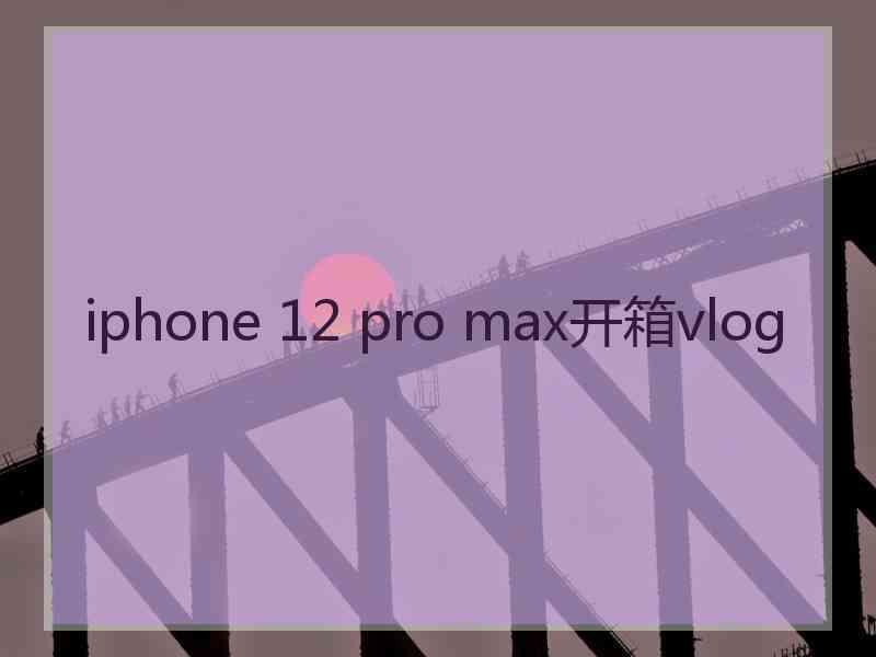 iphone 12 pro max开箱vlog