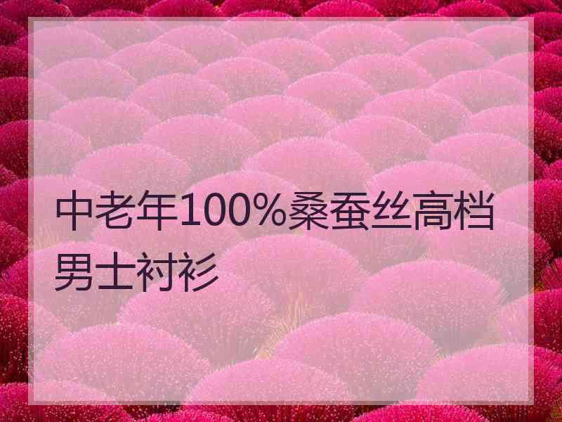 中老年100%桑蚕丝高档男士衬衫