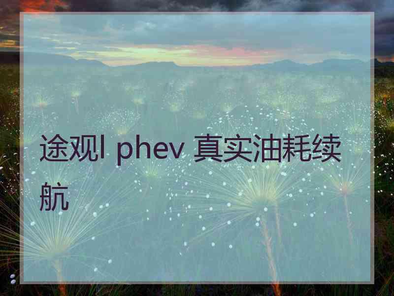 途观l phev 真实油耗续航