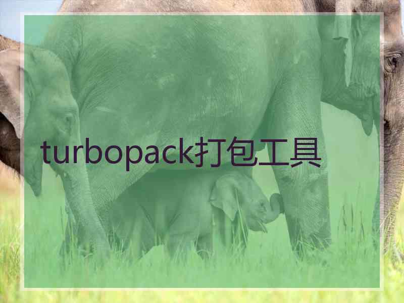 turbopack打包工具