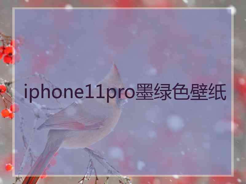 iphone11pro墨绿色壁纸