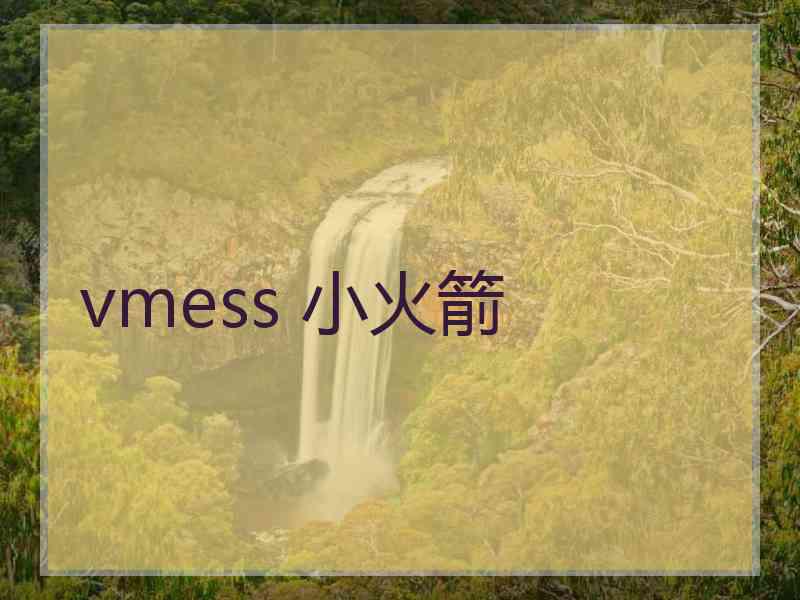 vmess 小火箭