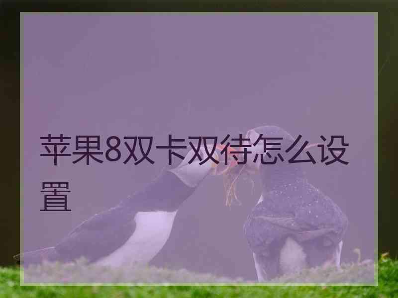 苹果8双卡双待怎么设置