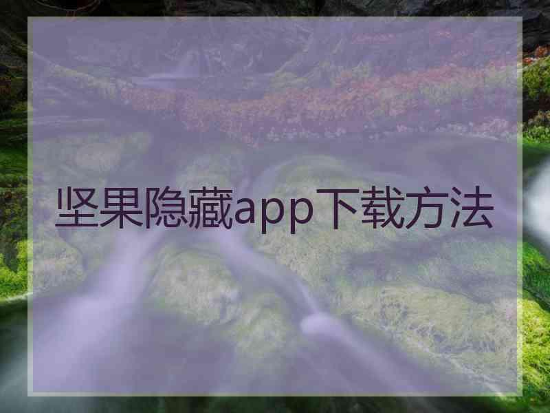 坚果隐藏app下载方法