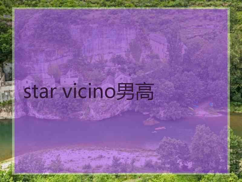 star vicino男高