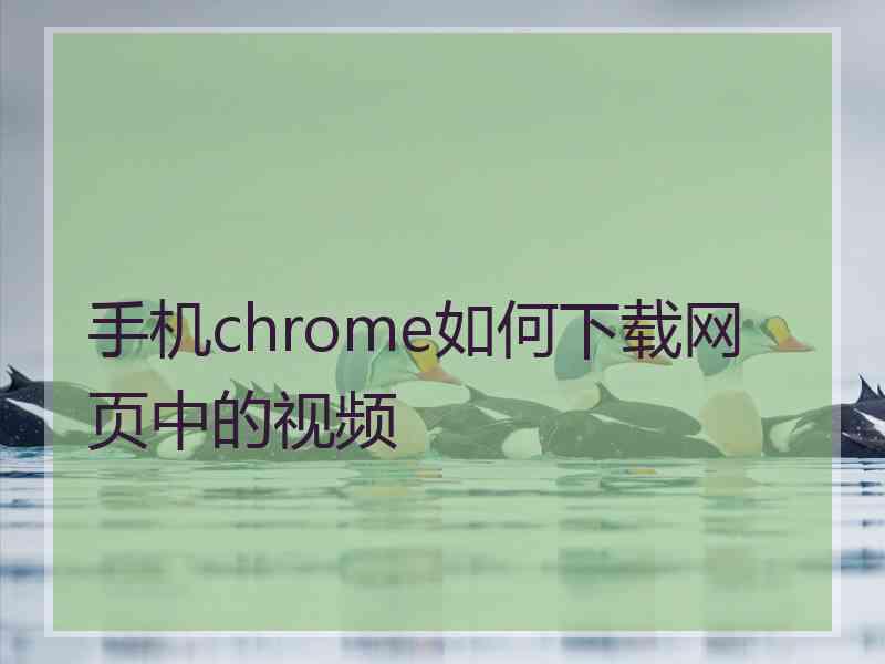 手机chrome如何下载网页中的视频