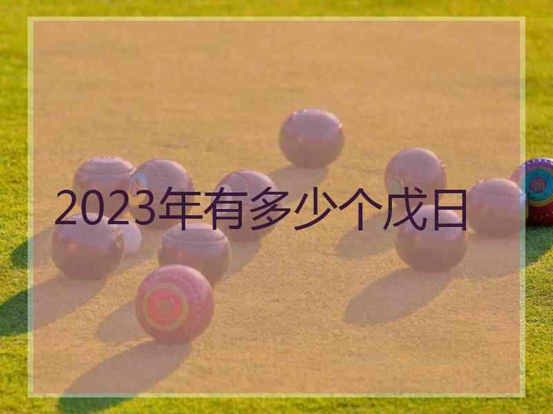 2023年有多少个戊日