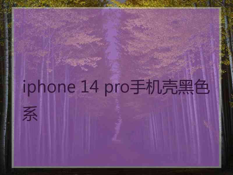 iphone 14 pro手机壳黑色系