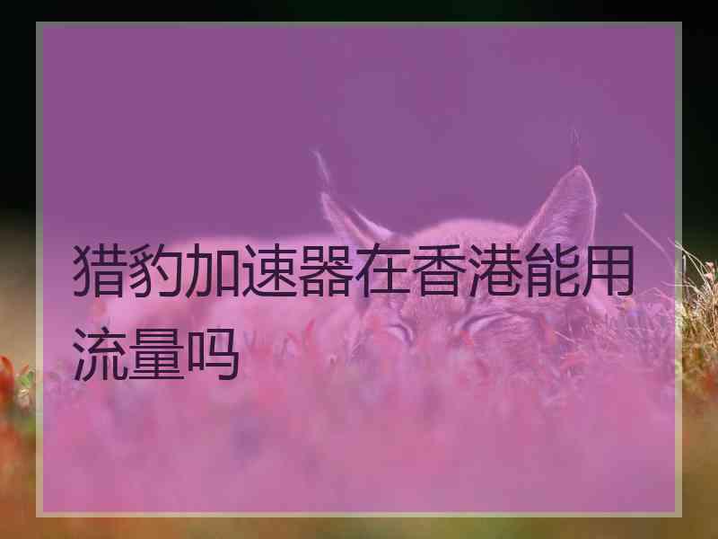 猎豹加速器在香港能用流量吗