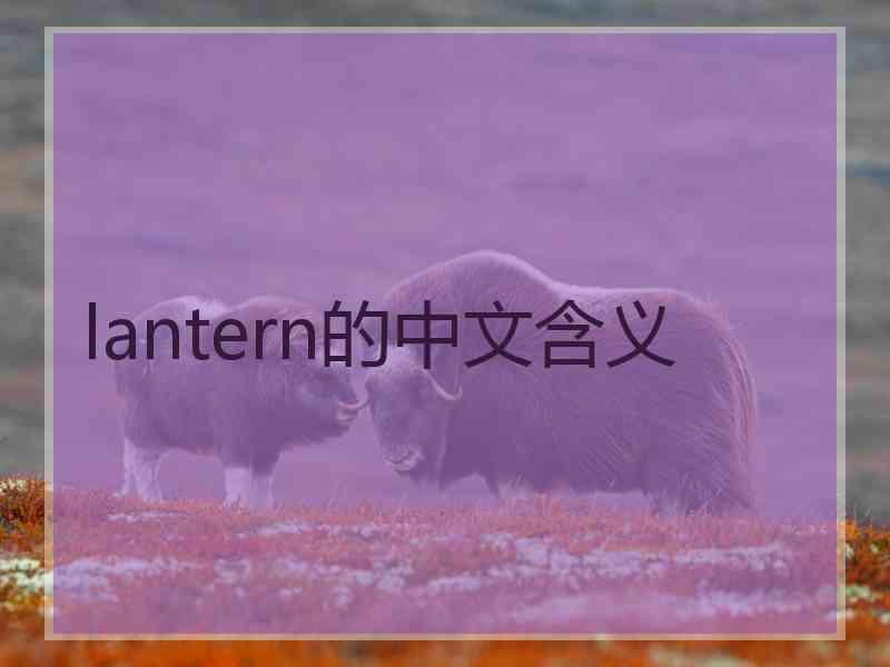 lantern的中文含义