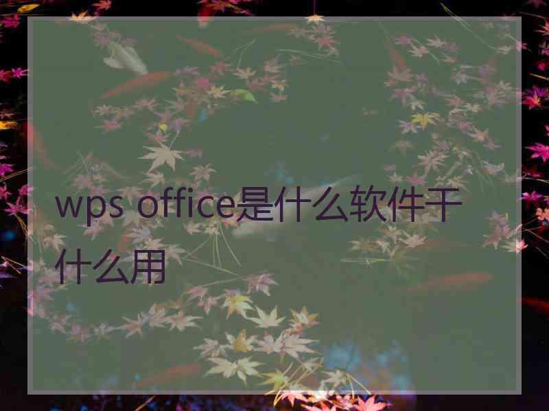 wps office是什么软件干什么用