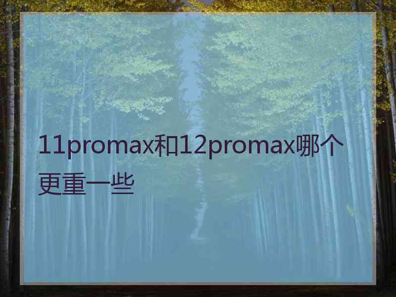 11promax和12promax哪个更重一些