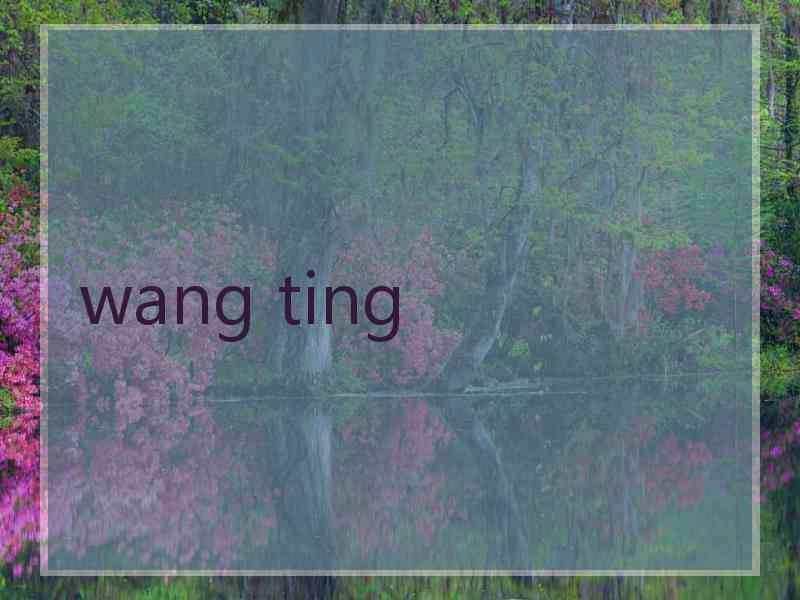 wang ting