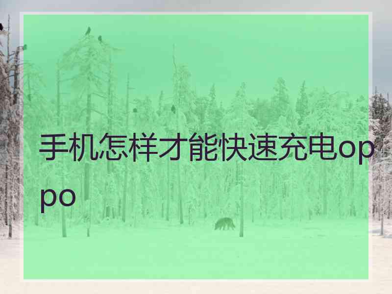 手机怎样才能快速充电oppo